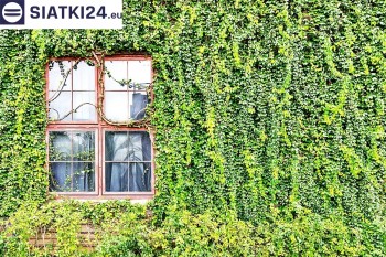 Siatki Bielsko-Biała - Siatka z dużym oczkiem - wsparcie dla roślin pnących na altance, domu i garażu dla terenów Bielska-Białej