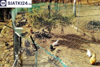 Siatki Bielsko-Biała - Siatka na woliery - zabezpieczenia ptaków w hodowli dla terenów Bielska-Białej